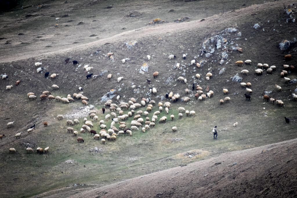 Aserbaidschan, Picture, Kaukasus, Mangotrails, Guba und Khinaliq Village Tour
