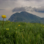 Italy, Picture, Alps, Mangotrails