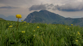 Italy, Picture, Alps, Mangotrails