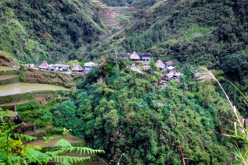 Banaue, Bild, Philippinen, Mangotrails