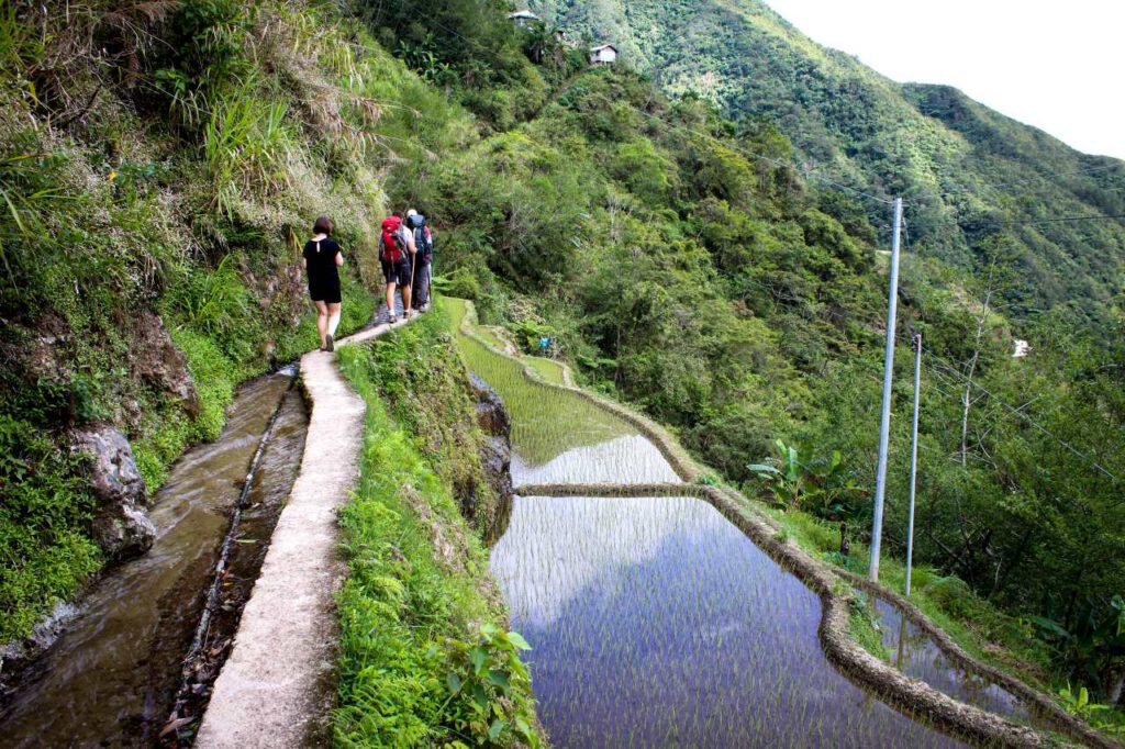 Banaue, Bild, Philippinen, Mangotrails