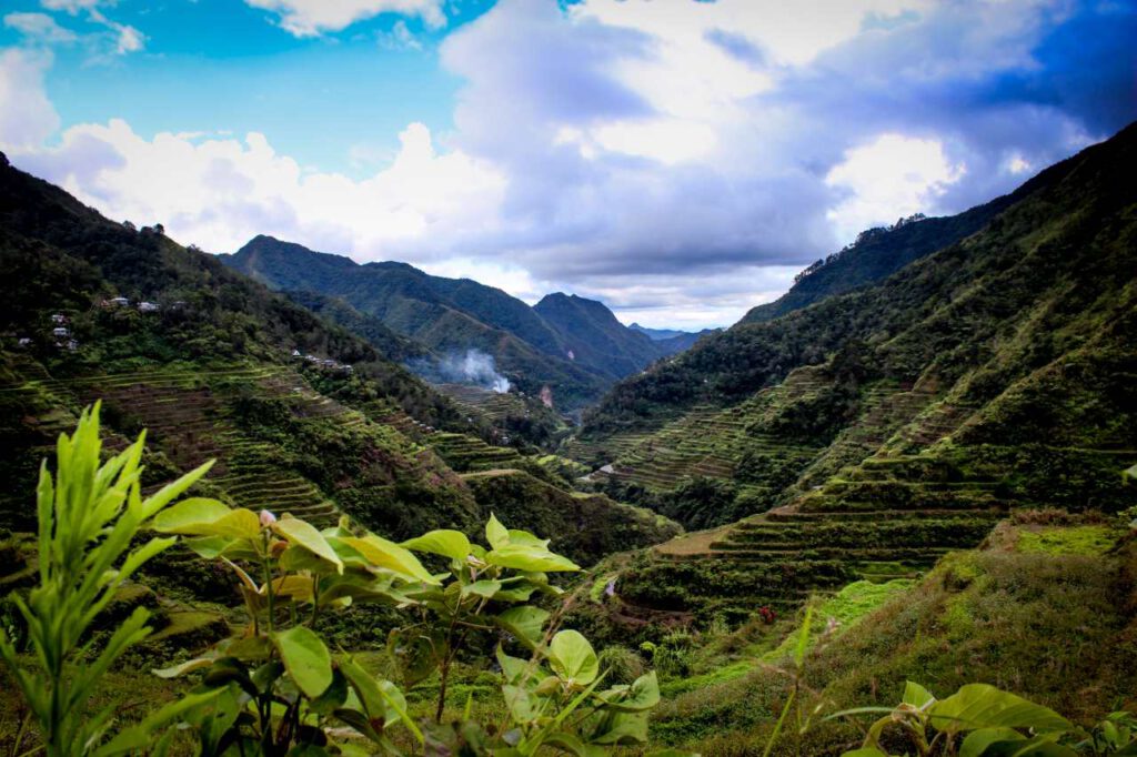 Banaue, Bild, Philippinen, Mangotrails