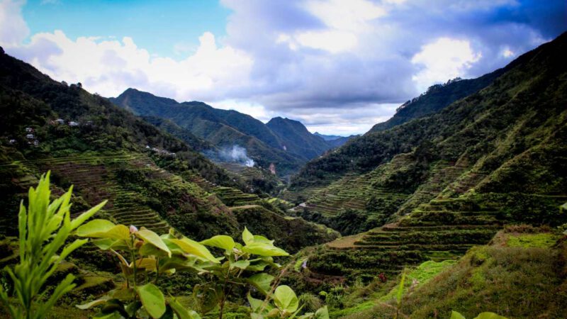 Banaue, Bild, Philippinen, Mangotrails