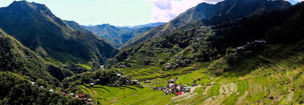 Banaue, Bild, Philippinen, Mangotrails