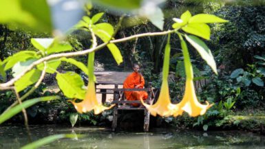 Laos. Reise, Mangostrails, Foto, Mönch