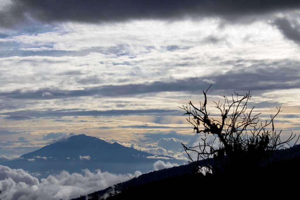 Mangotrails, Tansania, Kilimanjaro, Foto, Meru, Machame Route auf den Kilimandscharo