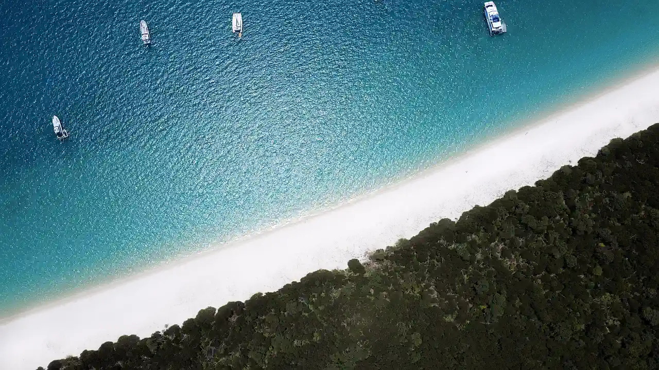 Foto, Mangotrails, Australien, Whitsundays - Unsere Erfahrungen und Highlights, Beach