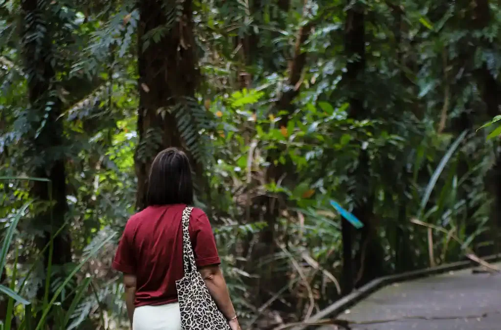 Foto, Mangotrails, Australien, Cairns Reiseblog - Unsere Entdeckungen und Highlights; Dschungel