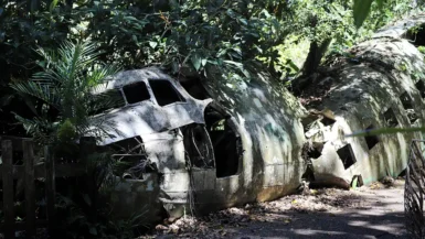 Foto, Mangotrails, Australien, The Atherton Tablelands - Unsere Liebligsorte und Tipps; Kuranda Wrack